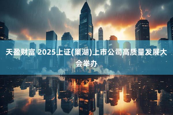 天盈财富 2025上证(巢湖)上市公司高质量发展大会举办