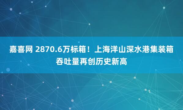 嘉喜网 2870.6万标箱！上海洋山深水港集装箱吞吐量再创历史新高