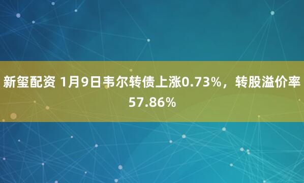 新玺配资 1月9日韦尔转债上涨0.73%，转股溢价率57.86%
