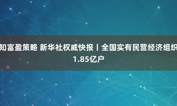 知富盈策略 新华社权威快报丨全国实有民营经济组织1.85亿户